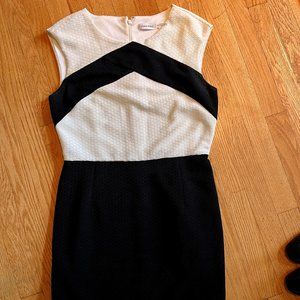 Calvin Klein work wear dress